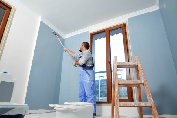 Best Mold Odor Removal Services  in Northfield, OH