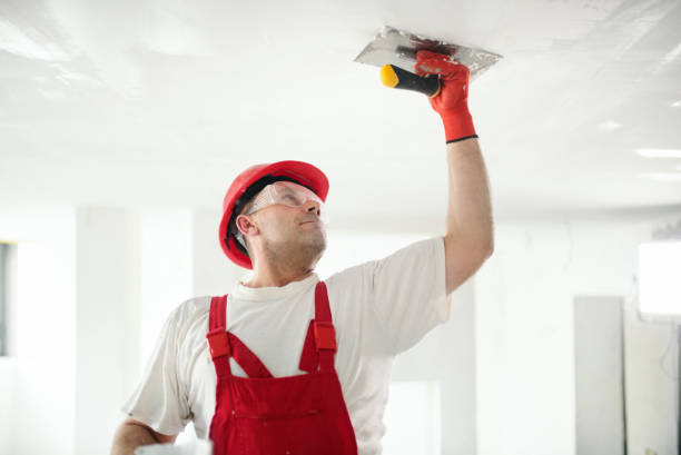 Best Industrial Mold Remediation  in Northfield, OH