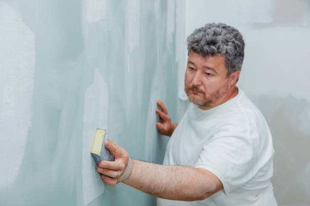 Best Environmental Consulting for Mold Prevention  in Northfield, OH