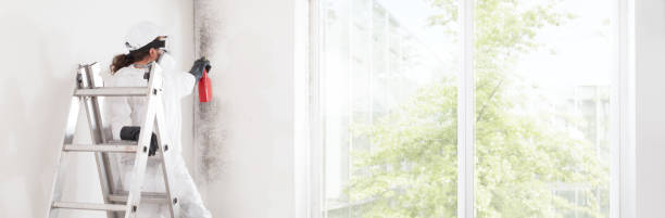 Mold Documentation for Insurance Claims in Northfield, OH