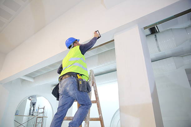Best Emergency Mold Remediation  in Northfield, OH
